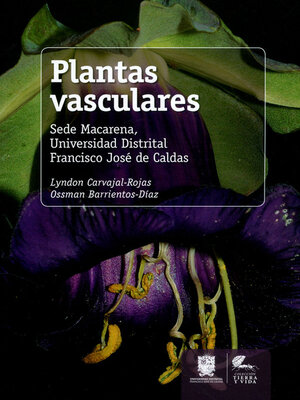cover image of Plantas vasculares